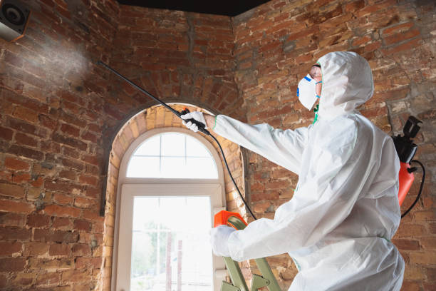 Best Forensic Mold Investigation  in Brevard, NC